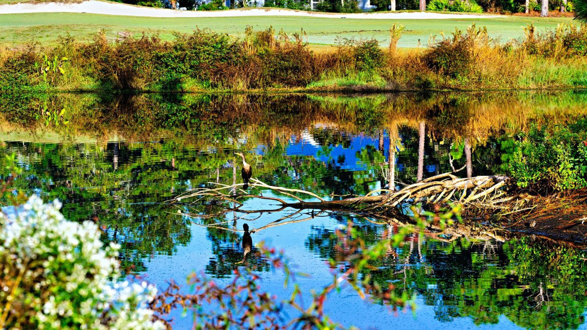 St James Bay Golf & Pickleball Resort Big Blackjack Landing Exterior photo